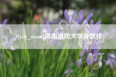 揭阳河南消防大学分数线