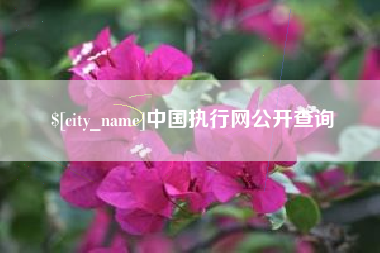 揭阳中国执行网公开查询