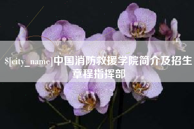 揭阳中国消防救援学院简介及招生章程指挥部
