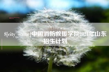 揭阳中国消防救援学院2021年山东招生计划