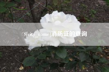 揭阳消防证的查询