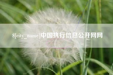 揭阳中国执行信息公开网网