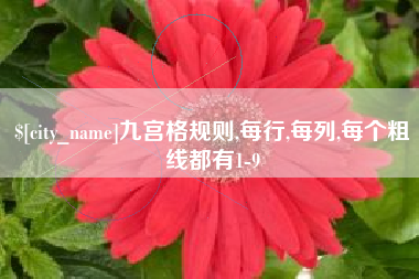 揭阳九宫格规则,每行,每列,每个粗线都有1-9