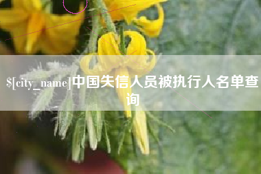 揭阳中国失信人员被执行人名单查询