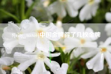 揭阳中国金牌得了几枚金牌