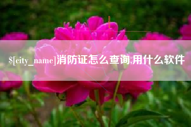 揭阳消防证怎么查询,用什么软件