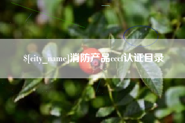 揭阳消防产品cccf认证目录