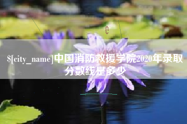 揭阳中国消防救援学院2020年录取分数线是多少