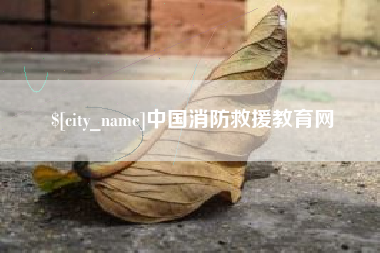 揭阳中国消防救援教育网