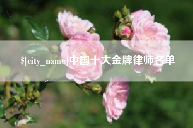 揭阳中国十大金牌律师名单