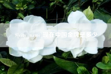 揭阳现在中国金牌是多少