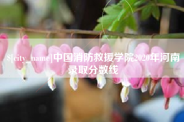 揭阳中国消防救援学院2020年河南录取分数线