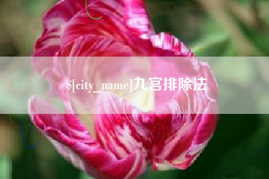 揭阳九宫排除法