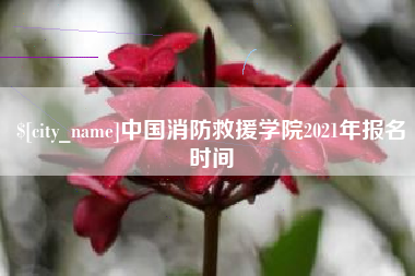 揭阳中国消防救援学院2021年报名时间