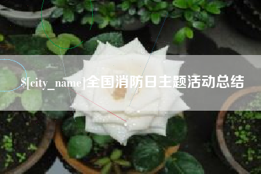 揭阳全国消防日主题活动总结