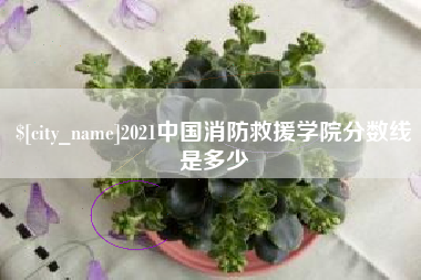 揭阳2021中国消防救援学院分数线是多少