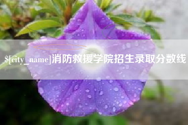 揭阳消防救援学院招生录取分数线