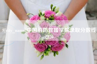 揭阳中国消防救援学院录取分数线2020
