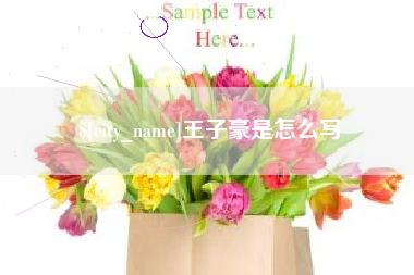 揭阳王子豪是怎么写