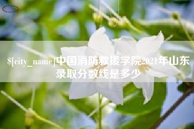 揭阳中国消防救援学院2021年山东录取分数线是多少