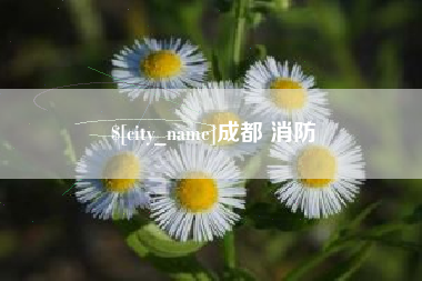 揭阳成都 消防
