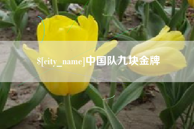 揭阳中国队九块金牌