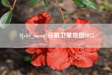 揭阳谷歌卫星地图2025