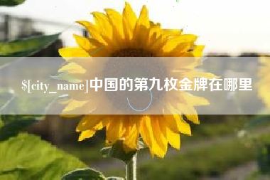 揭阳中国的第九枚金牌在哪里