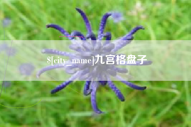 揭阳九宫格盘子