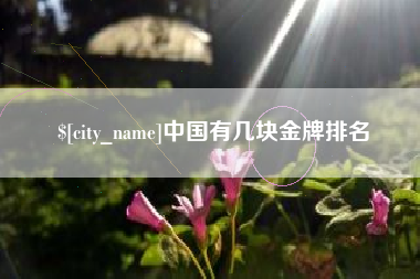 揭阳中国有几块金牌排名