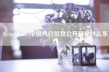揭阳中国执行信息公开网是什么东西