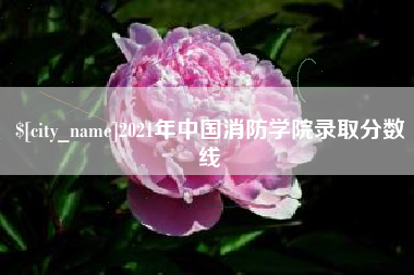 揭阳2021年中国消防学院录取分数线