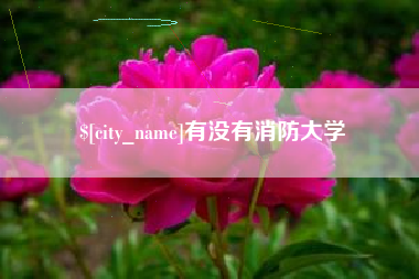 揭阳有没有消防大学