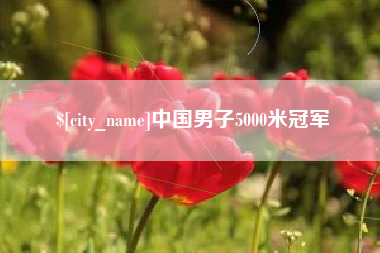 揭阳中国男子5000米冠军