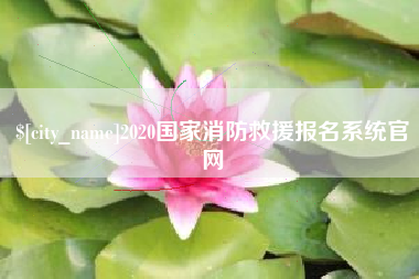 揭阳2020国家消防救援报名系统官网