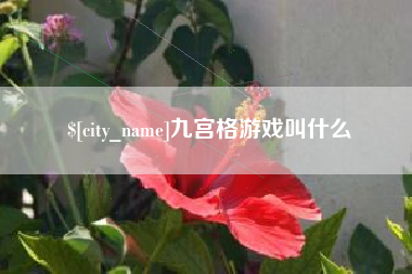 揭阳九宫格游戏叫什么