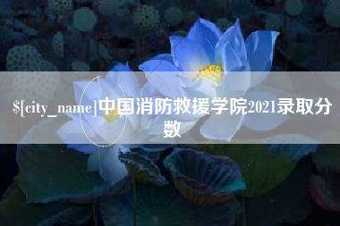 揭阳中国消防救援学院2021录取分数