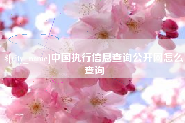 揭阳中国执行信息查询公开网怎么查询
