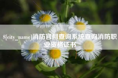 揭阳消防官网查询系统查询消防职业资格证书