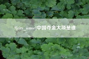 揭阳中国夺金大项是谁