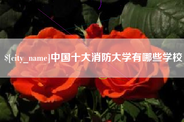 揭阳中国十大消防大学有哪些学校