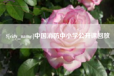 揭阳中国消防中小学公开课回放