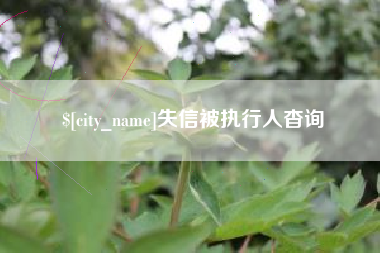 揭阳失信被执行人杳询