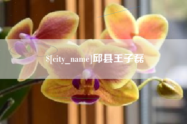 揭阳邱县王子磊