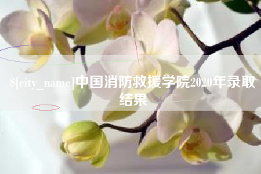 揭阳中国消防救援学院2020年录取结果