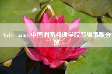 揭阳中国消防救援学院新疆录取分数