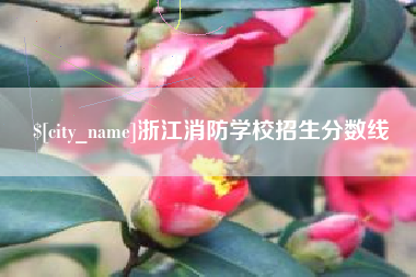 揭阳浙江消防学校招生分数线