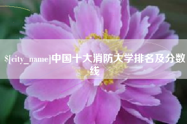 揭阳中国十大消防大学排名及分数线