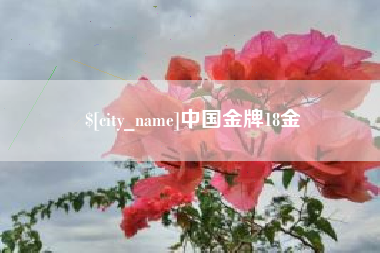 揭阳中国金牌18金