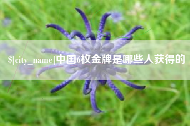 揭阳中国6枚金牌是哪些人获得的
